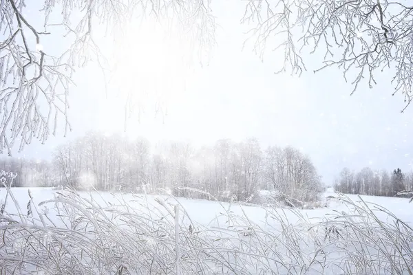 Vinter Bakgrund Snöfall Träd Abstrakt Suddig Vit — Stockfoto