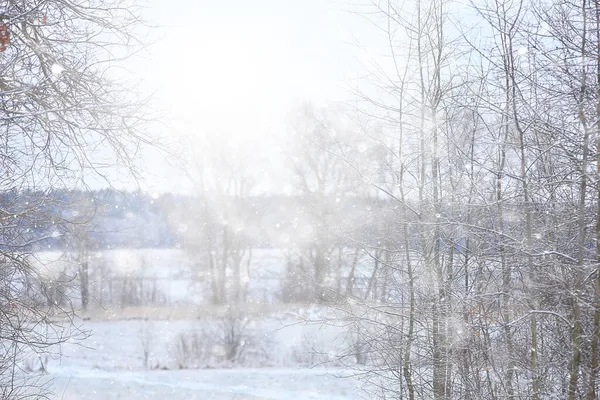 冬の背景雪の木抽象的なぼやけた白 — ストック写真