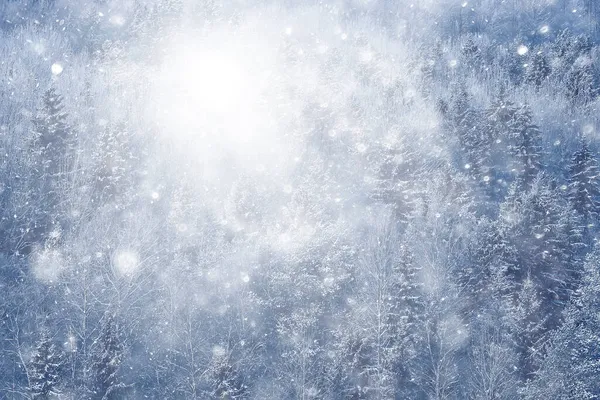 Зимний Фон Снегопад Деревья Абстрактные Размытые Белые — стоковое фото