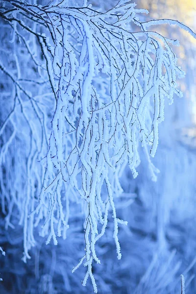 霜の背景に覆われた枝抽象的な冬の12月のビュー — ストック写真