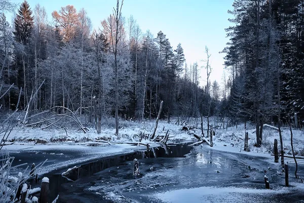 Paesaggio Fiume Inverno Vista Stagionale Acqua Neve Foresta — Foto Stock
