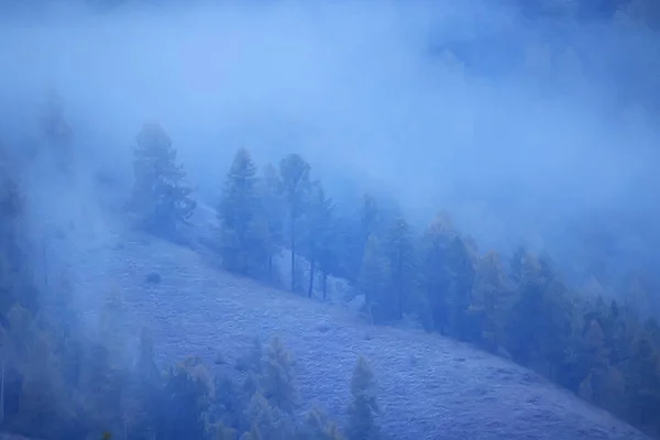Осінній Туман Пейзаж Лісові Гори Вид Дерева Туман — стокове фото