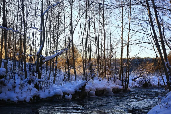 Inverno Árvores Paisagem Cobertas Com Geada — Fotografia de Stock