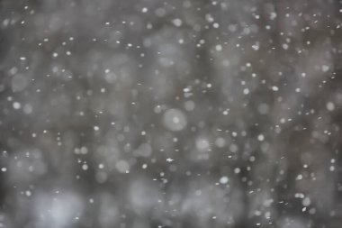 Soyut kar yağışı kış mevsimsel karı örtüyor