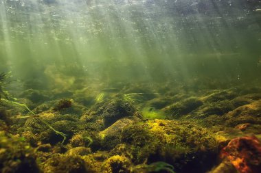 Güneş ışınları suyun altında, deniz manzarası tatlı su nehri dalışı