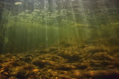 Güneş ışınları suyun altında, deniz manzarası tatlı su nehri dalışı