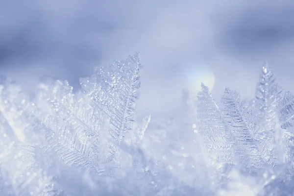 Αφηρημένο Φόντο Χειμώνα Hoarfrost Παγετός Χιόνι Εποχιακή — Φωτογραφία Αρχείου