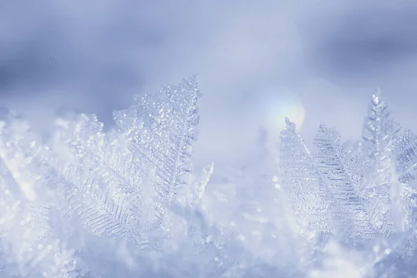 寒霜霜冻冰雪季节 — 图库照片