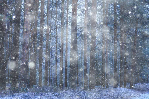 冬季背景降雪树抽象模糊的白色 — 图库照片