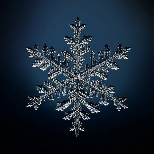 Snowflake Crystal Macro Photo Natural Object Winter Design — Stock Photo, Image