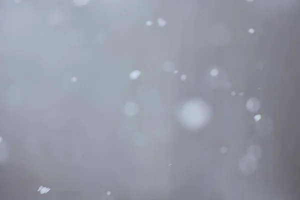 Soyut Kar Yağışı Kış Mevsimsel Karı Örtüyor — Stok fotoğraf