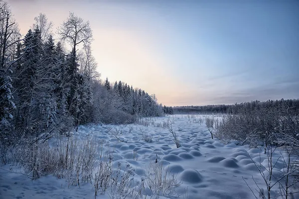 Inverno Árvores Paisagem Cobertas Com Geada — Fotografia de Stock