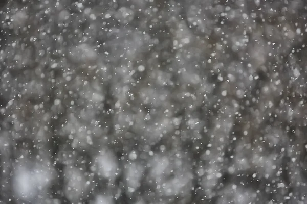 Абстрактний Фон Снігопад Накладення Зими Різдвяний Сезонний Сніг — стокове фото