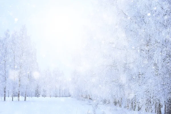 Vinter Bakgrund Snöfall Träd Abstrakt Suddig Vit — Stockfoto