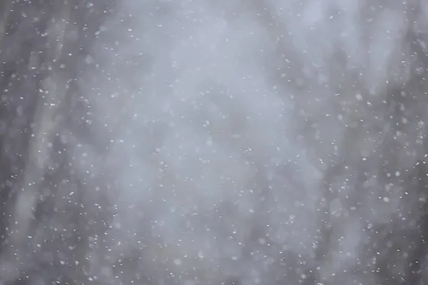 Soyut Kar Yağışı Kış Mevsimsel Karı Örtüyor — Stok fotoğraf