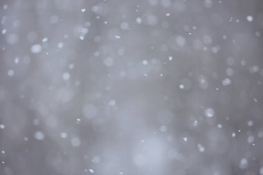 Soyut kar yağışı kış mevsimsel karı örtüyor