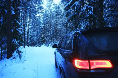 Araba kış ormanı seyahati, arka plan aralık doğa