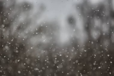 Soyut kar yağışı kış mevsimsel karı örtüyor