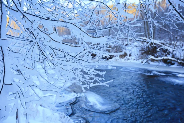 Donuk Arkaplan Ile Kaplı Dallar Soyut Kış Aralık Görünümü — Stok fotoğraf
