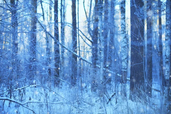 Winter Achtergrond Sneeuw Bomen Abstract Wazig Wit — Stockfoto