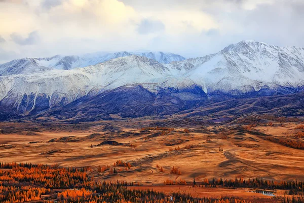Berge Schnee Altai Landschaft Hintergrund Schnee Gipfel Blick — Stockfoto