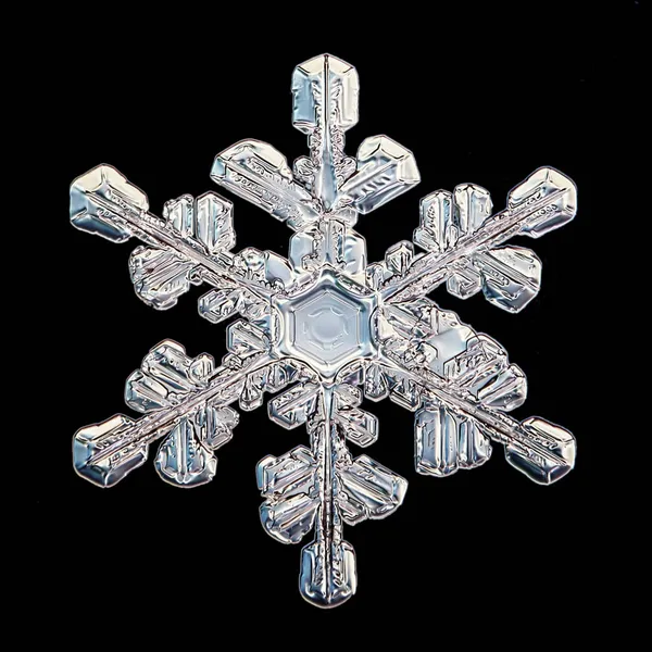 Snowflake Isolated Black Background Natural Photo Crystal Winter Design — Stock Photo, Image