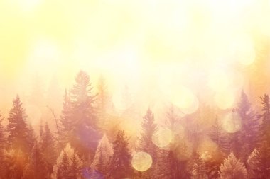 Sonbahar sisi orman dağları, ağaçlar sis manzarası