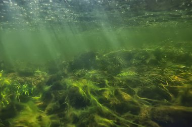 Güneş ışınları suyun altında, deniz manzarası tatlı su nehri dalışı
