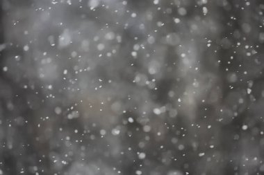 Soyut kar yağışı kış mevsimsel karı örtüyor