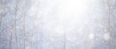 Kış arkaplan karları soyut beyaz bulanık