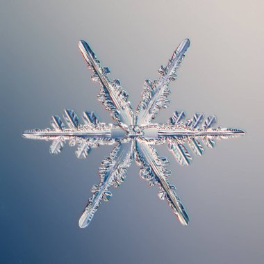 Kar taneleri kristal makro, fotoğraf doğal nesne, kış tasarımı