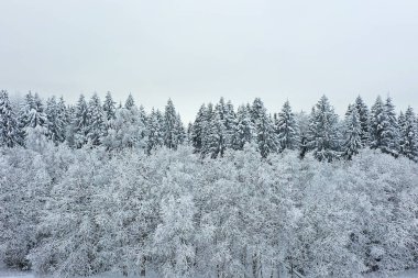 Ağaçlar orman buzu üst görünüm arka plan, soyut drone görünüm doğa mevsimsel kış çayırı