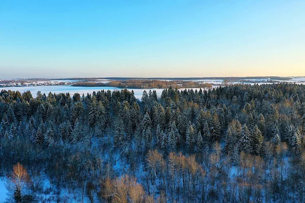 Arbres Forêt Gel Vue Dessus Fond Abstrait Drone Vue Nature — Photo