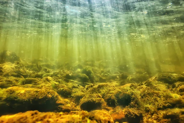 Сонячні Промені Під Водою Пейзаж Морський Прісноводний Річковий Дайвінг — стокове фото