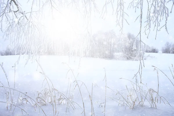 Zima Tło Opady Śniegu Drzewa Abstrakcyjne Niewyraźne Biały — Zdjęcie stockowe