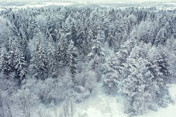 Δέντρα Παγετός Δάσος Top View Background Αφηρημένο Drone View Φύση — Φωτογραφία Αρχείου