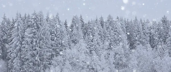 Vinter Bakgrund Snöfall Träd Abstrakt Suddig Vit — Stockfoto