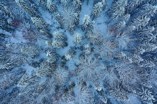 Stromy Les Mráz Vrchol Pohled Pozadí Abstraktní Drone Pohled Příroda — Stock fotografie