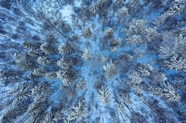 森の霜トップビュー背景抽象的なドローンビュー自然季節の冬のスプルース — ストック写真