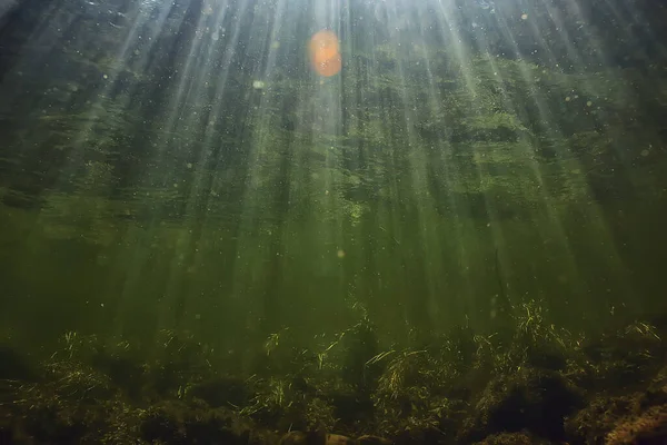 Sun Rays Water Landscape Seascape Fresh Water River Diving — Stock Photo, Image