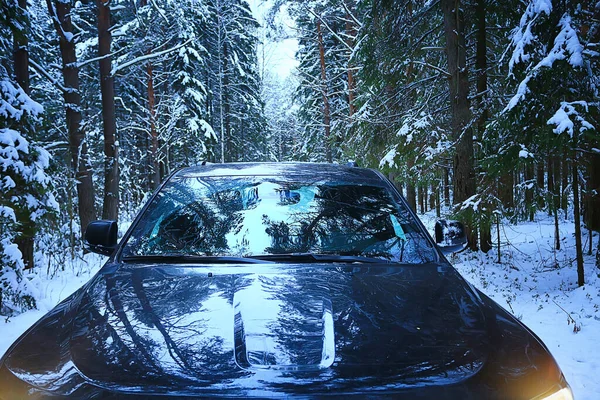 Car Winter Forest Travel Background December Nature — Stock Photo, Image