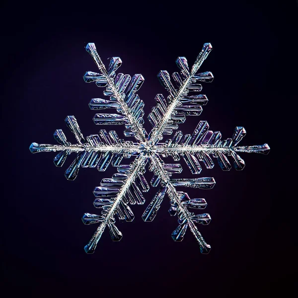 Sněhová Vločka Izolované Černém Pozadí Přírodní Foto Krystal Zimní Design — Stock fotografie