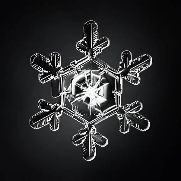 Floco Neve Isolado Fundo Preto Foto Natural Cristal Inverno Design — Fotografia de Stock