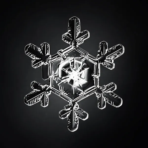 Snowflake Isolated Black Background Natural Photo Crystal Winter Design — Stock Photo, Image