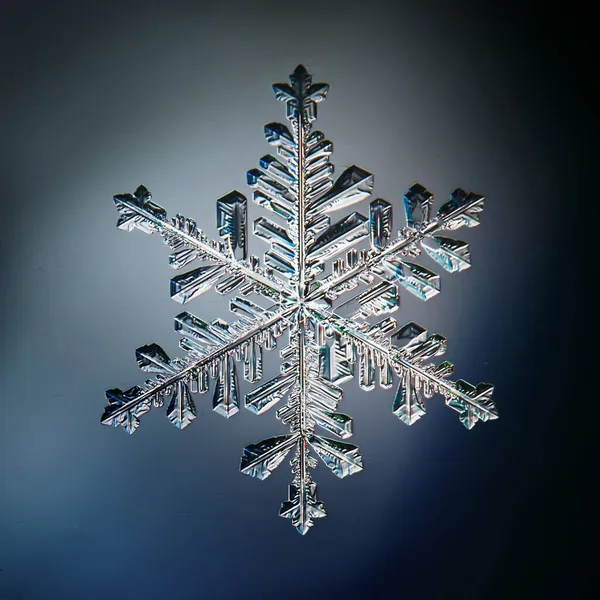 Fiocco Neve Cristallo Macro Foto Oggetto Naturale Design Invernale — Foto Stock