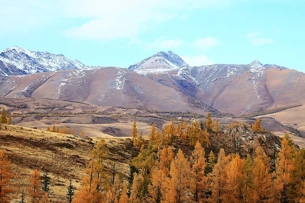 Hory Sníh Altai Krajina Pozadí Sníh Vrchol Pohled — Stock fotografie