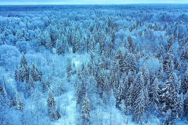 Stromy Les Mráz Vrchol Pohled Pozadí Abstraktní Drone Pohled Příroda — Stock fotografie