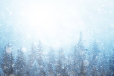 Kış arkaplan karları soyut beyaz bulanık