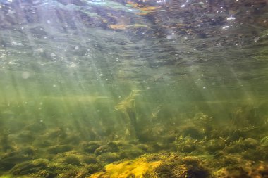 Güneş ışınları suyun altında, deniz manzarası tatlı su nehri dalışı