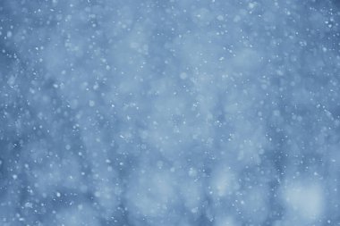 Soyut kar yağışı kış mevsimsel karı örtüyor